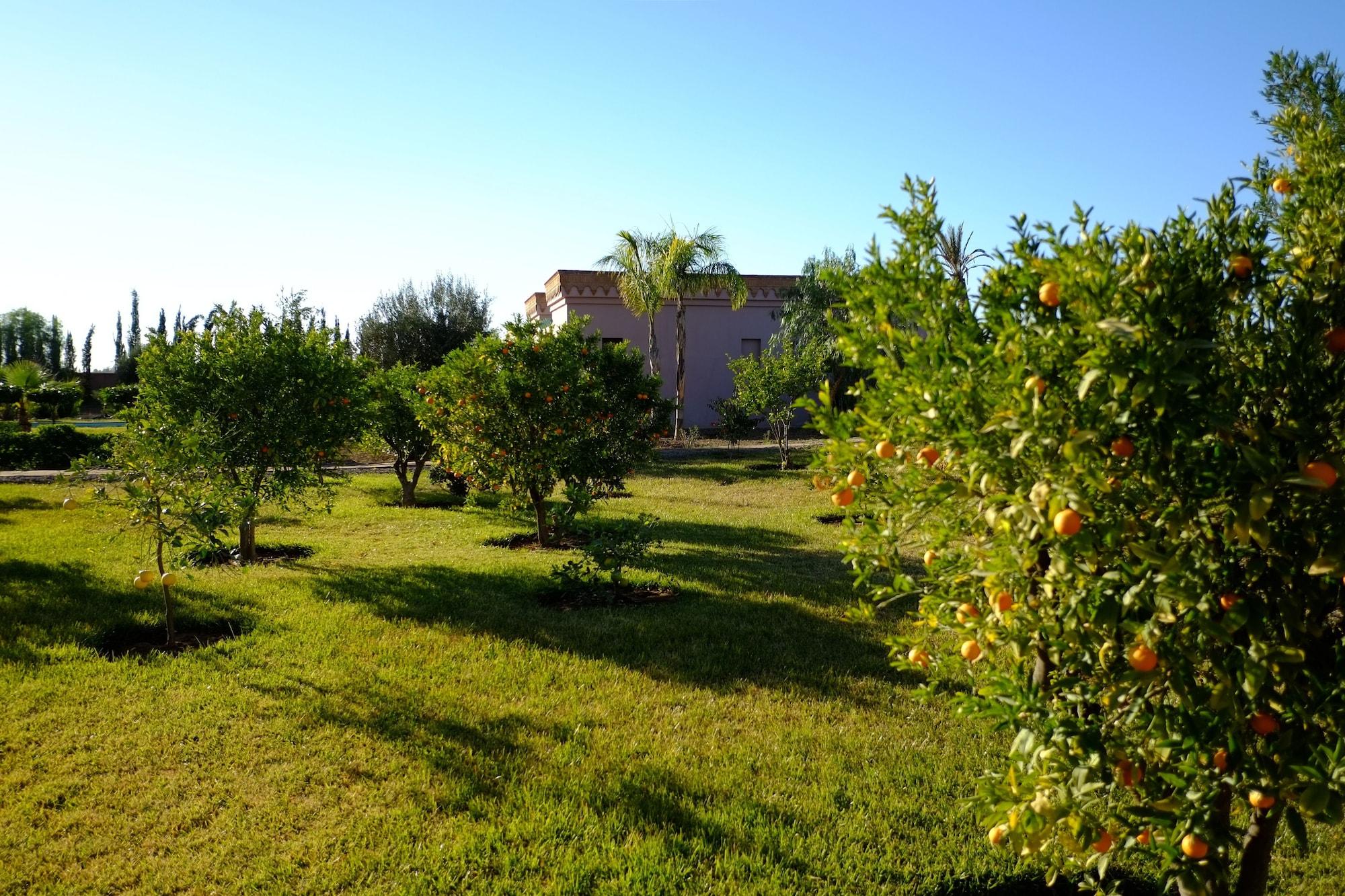 Terra Mia Marrakech Bed & Breakfast Ouled Jelal Luaran gambar